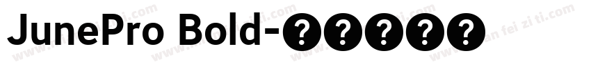 JunePro Bold字体转换